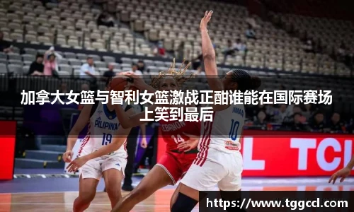 bsports官网入口
